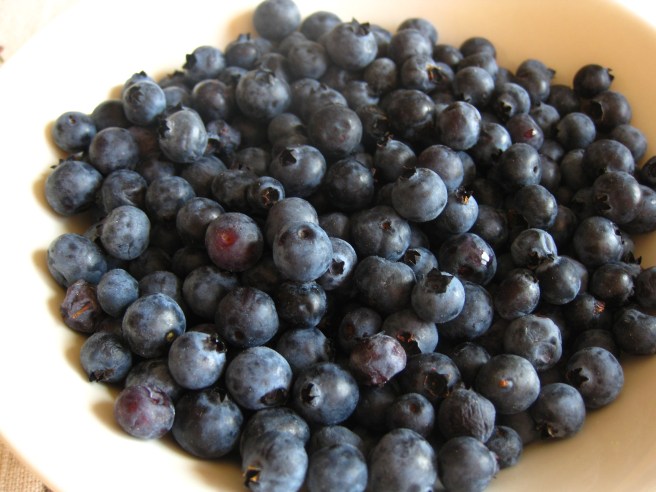 Wild Blueberries